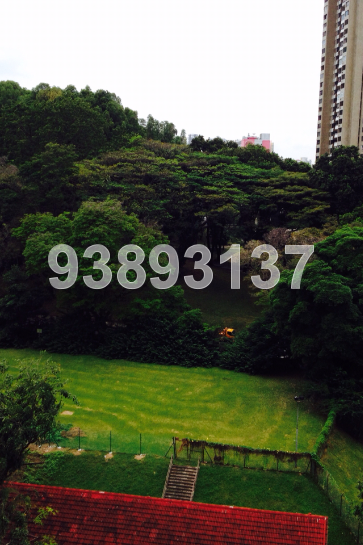 Blk 34 Upper Cross Street (Central Area), HDB 3 Rooms #40117672